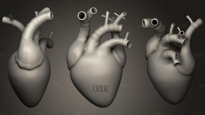 Heart Animated stl model for CNC